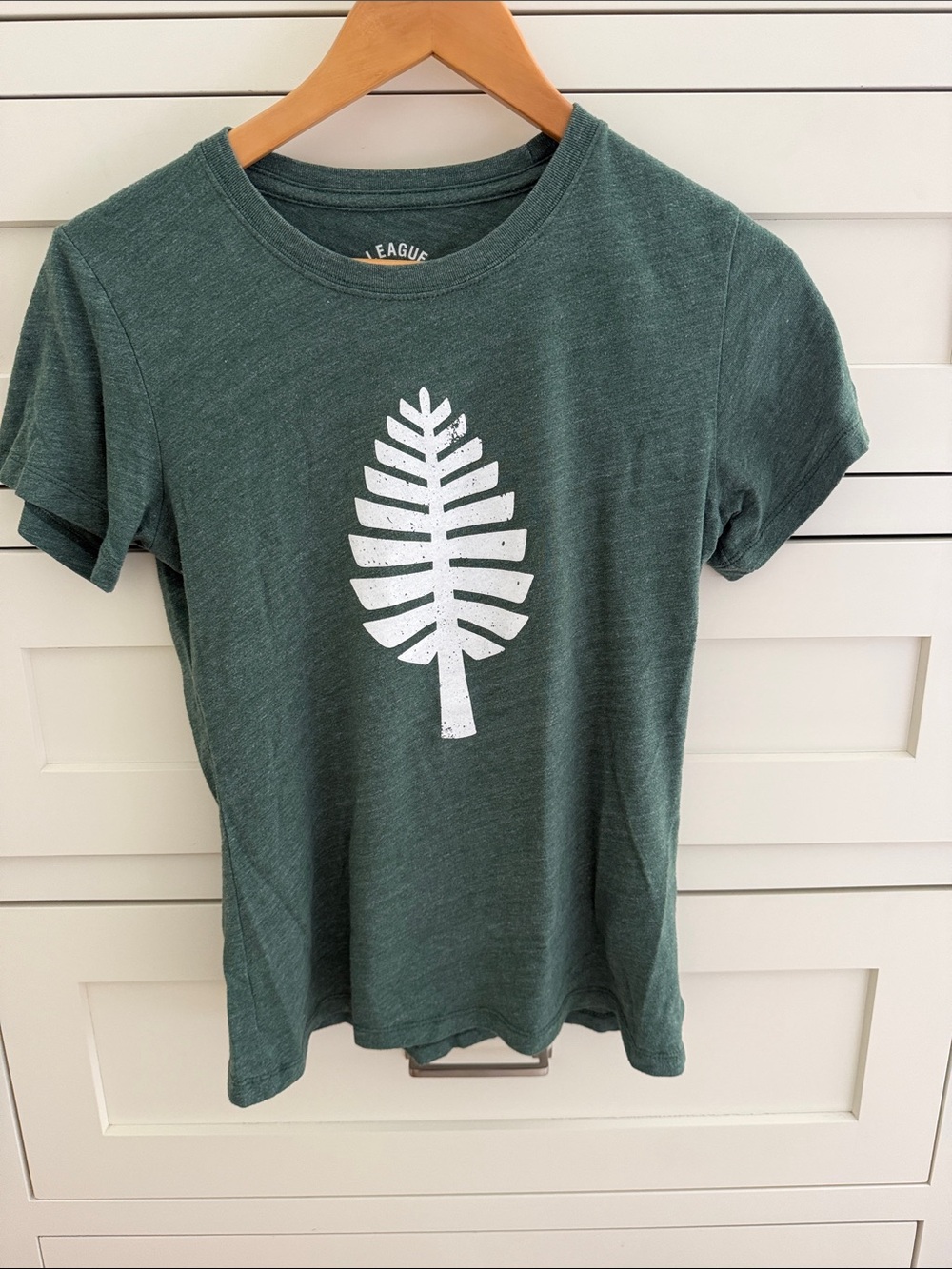 Dartmouth College Graphic T